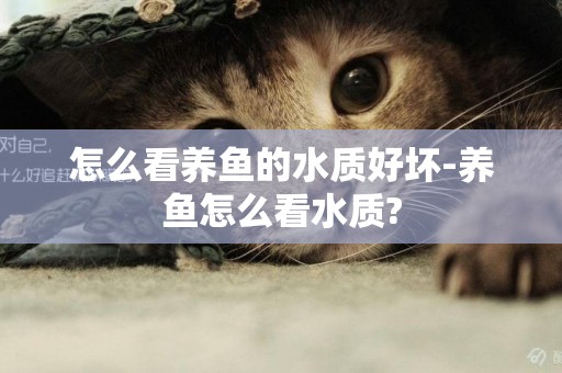 怎么看養魚的水質好壞-養魚怎么看水質?