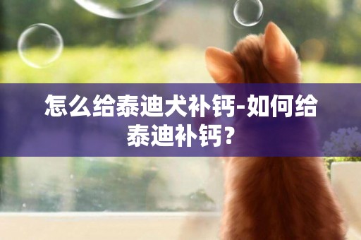 怎么給泰迪犬補鈣-如何給泰迪補鈣？