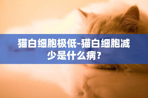 貓白細胞極低-貓白細胞減少是什么病？