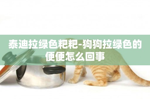 泰迪拉綠色粑粑-狗狗拉綠色的便便怎么回事