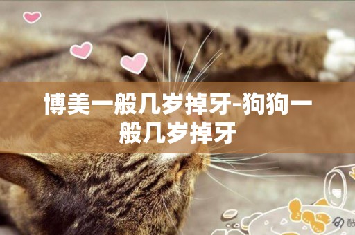 博美一般幾歲掉牙-狗狗一般幾歲掉牙