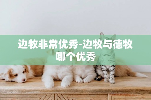 邊牧非常優秀-邊牧與德牧哪個優秀