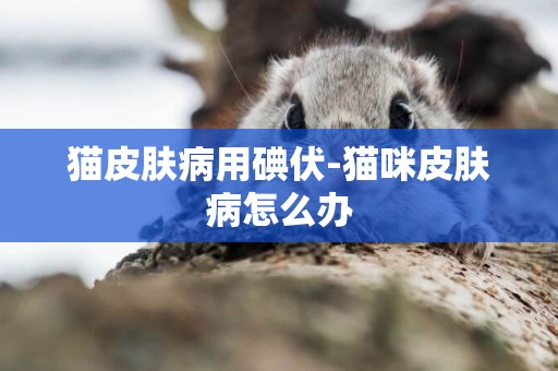 貓皮膚病用碘伏-貓咪皮膚病怎么辦