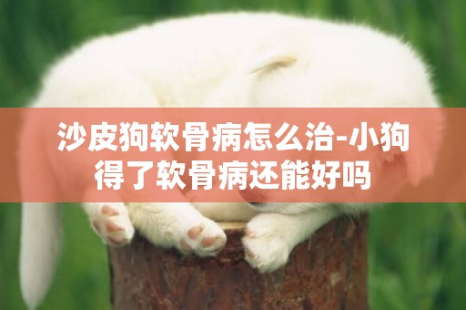 沙皮狗軟骨病怎么治-小狗得了軟骨病還能好嗎