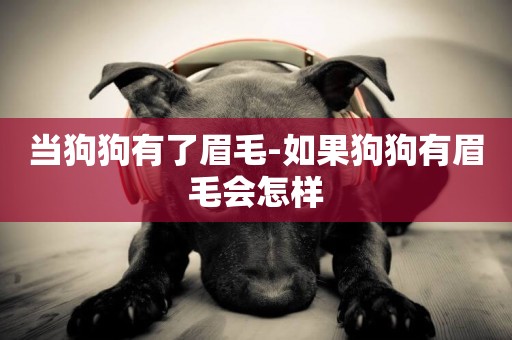 當狗狗有了眉毛-如果狗狗有眉毛會怎樣