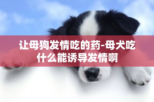讓母狗發情吃的藥-母犬吃什么能誘導發情啊
