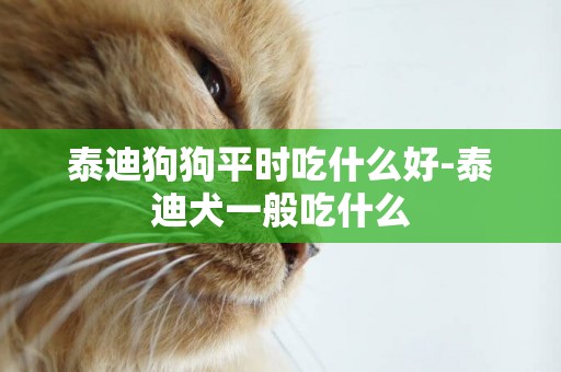 泰迪狗狗平時吃什么好-泰迪犬一般吃什么