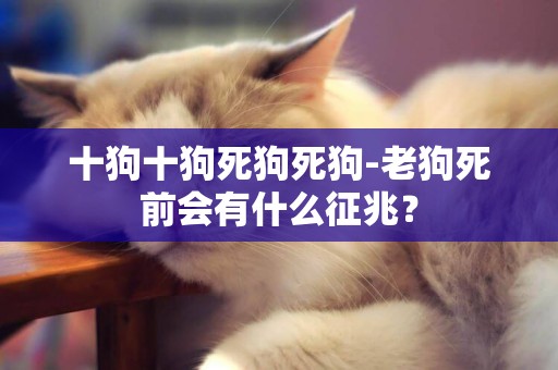 十狗十狗死狗死狗-老狗死前會有什么征兆？