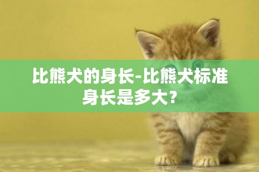 比熊犬的身長-比熊犬標準身長是多大？