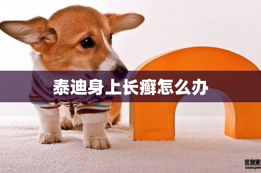泰迪身上長癬怎么辦