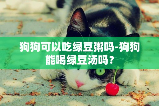狗狗可以吃綠豆粥嗎-狗狗能喝綠豆湯嗎？