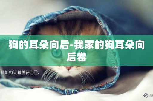 狗的耳朵向后-我家的狗耳朵向后卷
