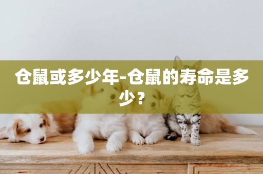 倉鼠或多少年-倉鼠的壽命是多少？