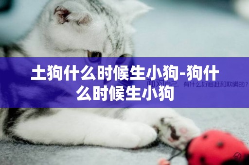 土狗什么時候生小狗-狗什么時候生小狗