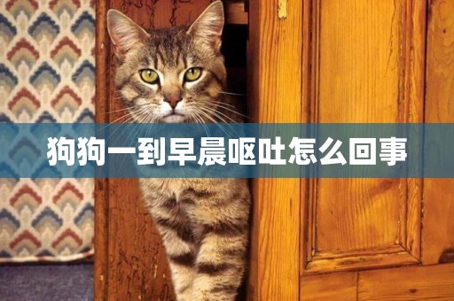 狗狗一到早晨嘔吐怎么回事