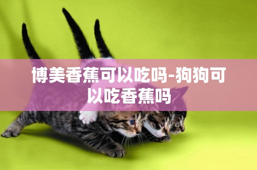 博美香蕉可以吃嗎-狗狗可以吃香蕉嗎