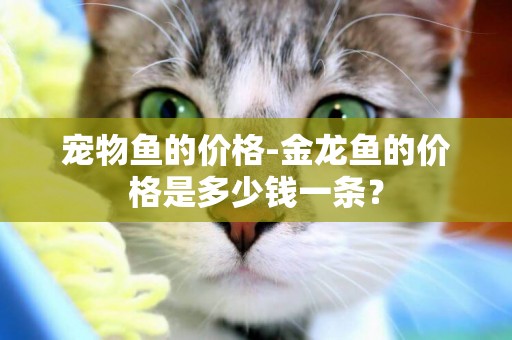 寵物魚的價格-金龍魚的價格是多少錢一條？
