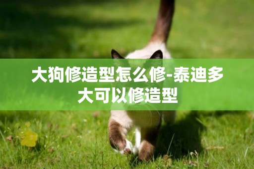 大狗修造型怎么修-泰迪多大可以修造型