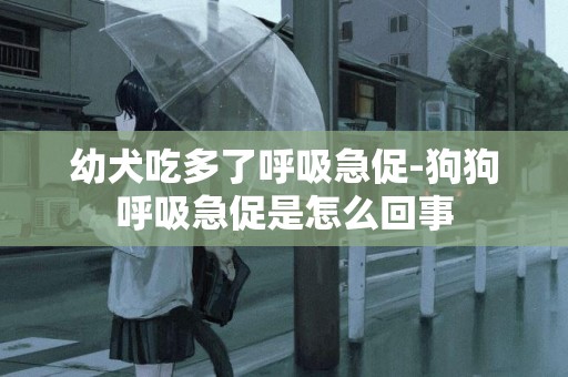 幼犬吃多了呼吸急促-狗狗呼吸急促是怎么回事