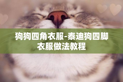 狗狗四角衣服-泰迪狗四腳衣服做法教程