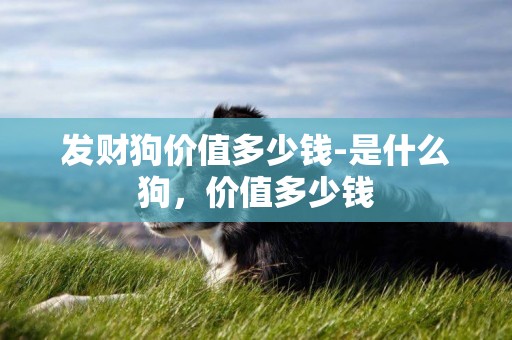 發財狗價值多少錢-是什么狗，價值多少錢