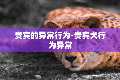 貴賓的異常行為-貴賓犬行為異常