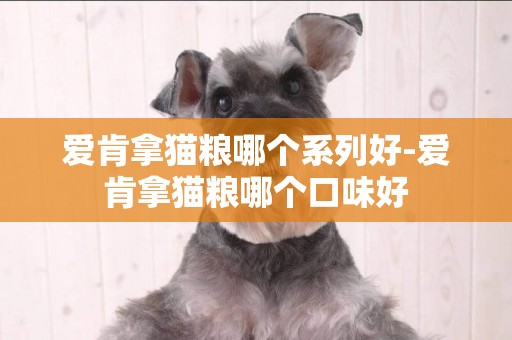 愛肯拿貓糧哪個系列好-愛肯拿貓糧哪個口味好