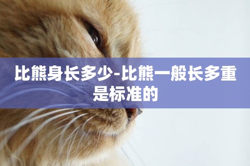 比熊身長多少-比熊一般長多重是標準的