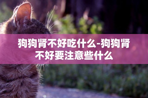 狗狗腎不好吃什么-狗狗腎不好要注意些什么