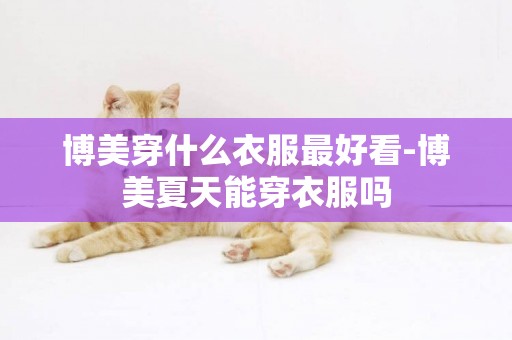 博美穿什么衣服最好看-博美夏天能穿衣服嗎