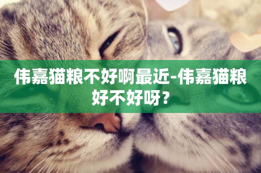 偉嘉貓糧不好啊最近-偉嘉貓糧好不好呀？