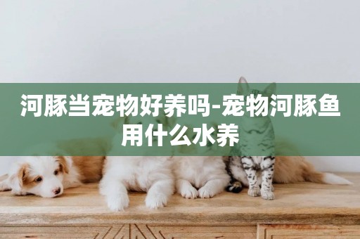 河豚當寵物好養嗎-寵物河豚魚用什么水養