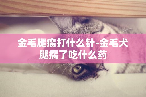 金毛腿瘸打什么針-金毛犬腿瘸了吃什么藥