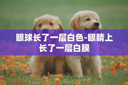 眼球長了一層白色-眼睛上長了一層白膜