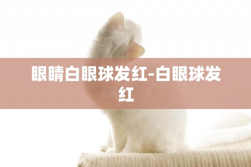 眼睛白眼球發紅-白眼球發紅