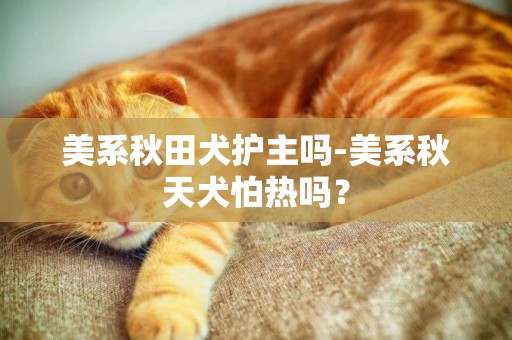 美系秋田犬護主嗎-美系秋天犬怕熱嗎？