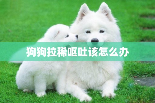 狗狗拉稀嘔吐該怎么辦