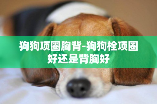 狗狗項圈胸背-狗狗栓項圈好還是背胸好