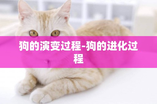 狗的演變過程-狗的進化過程