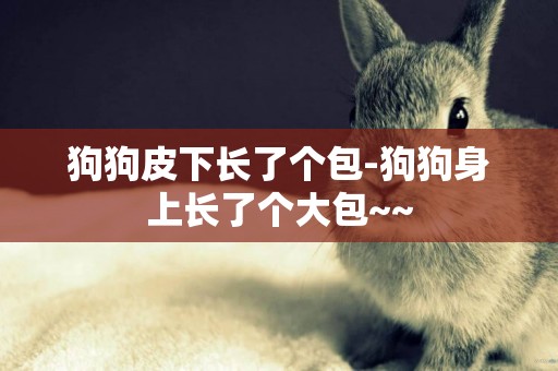 狗狗皮下長了個包-狗狗身上長了個大包~~
