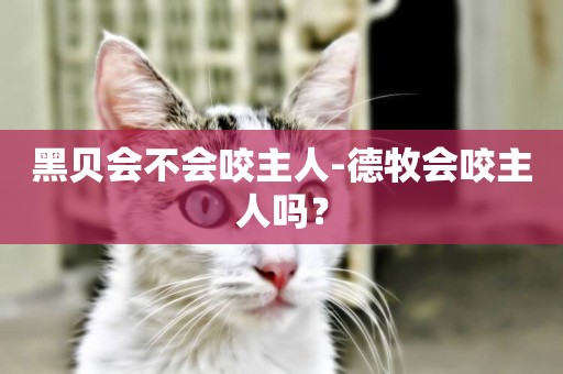黑貝會不會咬主人-德牧會咬主人嗎？