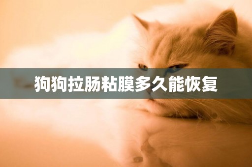 狗狗拉腸粘膜多久能恢復