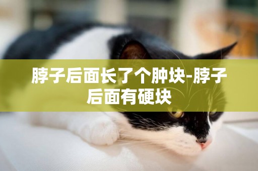 脖子后面長了個腫塊-脖子后面有硬塊