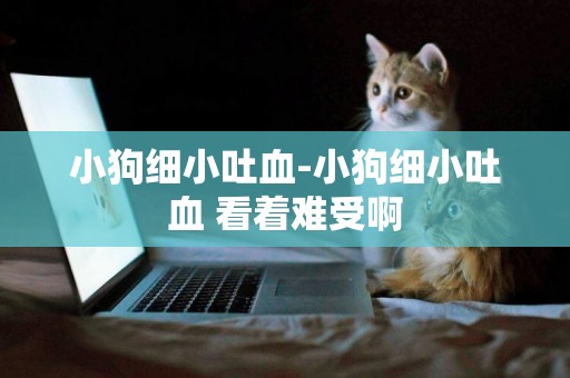 小狗細小吐血-小狗細小吐血 看著難受啊