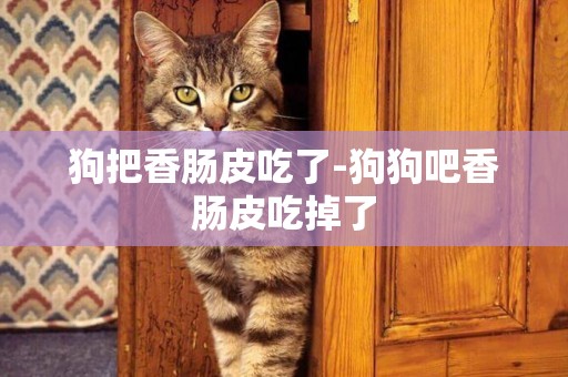 狗把香腸皮吃了-狗狗吧香腸皮吃掉了