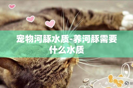 寵物河豚水質-養河豚需要什么水質