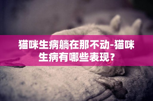 貓咪生病躺在那不動-貓咪生病有哪些表現？