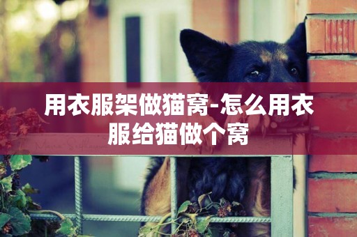 用衣服架做貓窩-怎么用衣服給貓做個窩