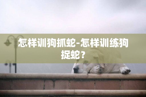 怎樣訓狗抓蛇-怎樣訓練狗捉蛇？
