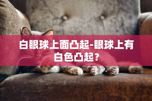 白眼球上面凸起-眼球上有白色凸起？